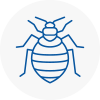 Bed Bug Extermination In North Ayrshire